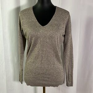 Express Light Brown Wool Blend Long Sleeve V-Neck Sweater